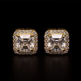 Zenith Ice Earrings