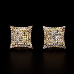 Aurora Frame Earrings