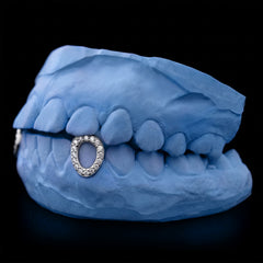 Iced-out Window Fang Grillz