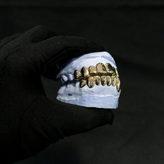 Solid Gold/Silver Grillz