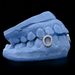 Iced-out Window  Fang Grillz